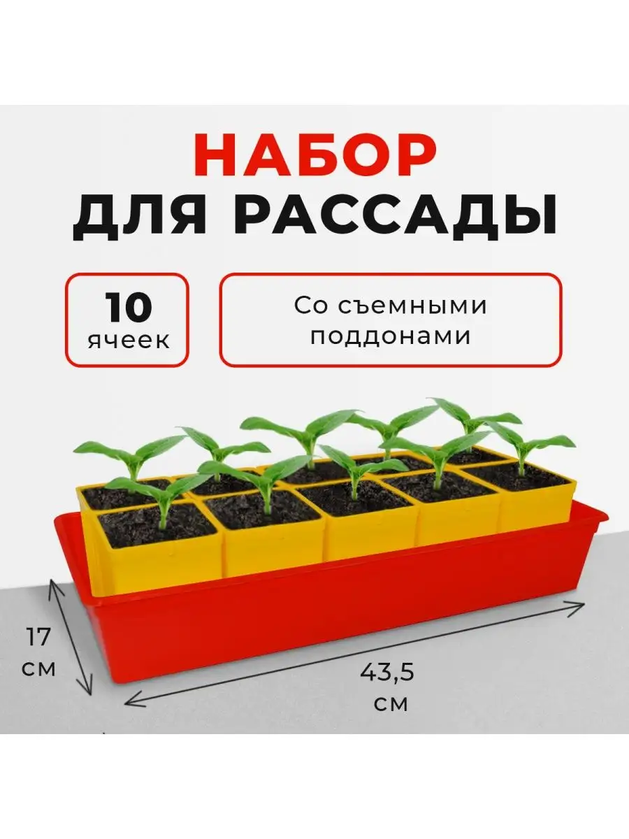 Оригинальные поздравления на свадьбу часть 2