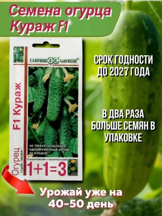 Купить Семена Кураж F1