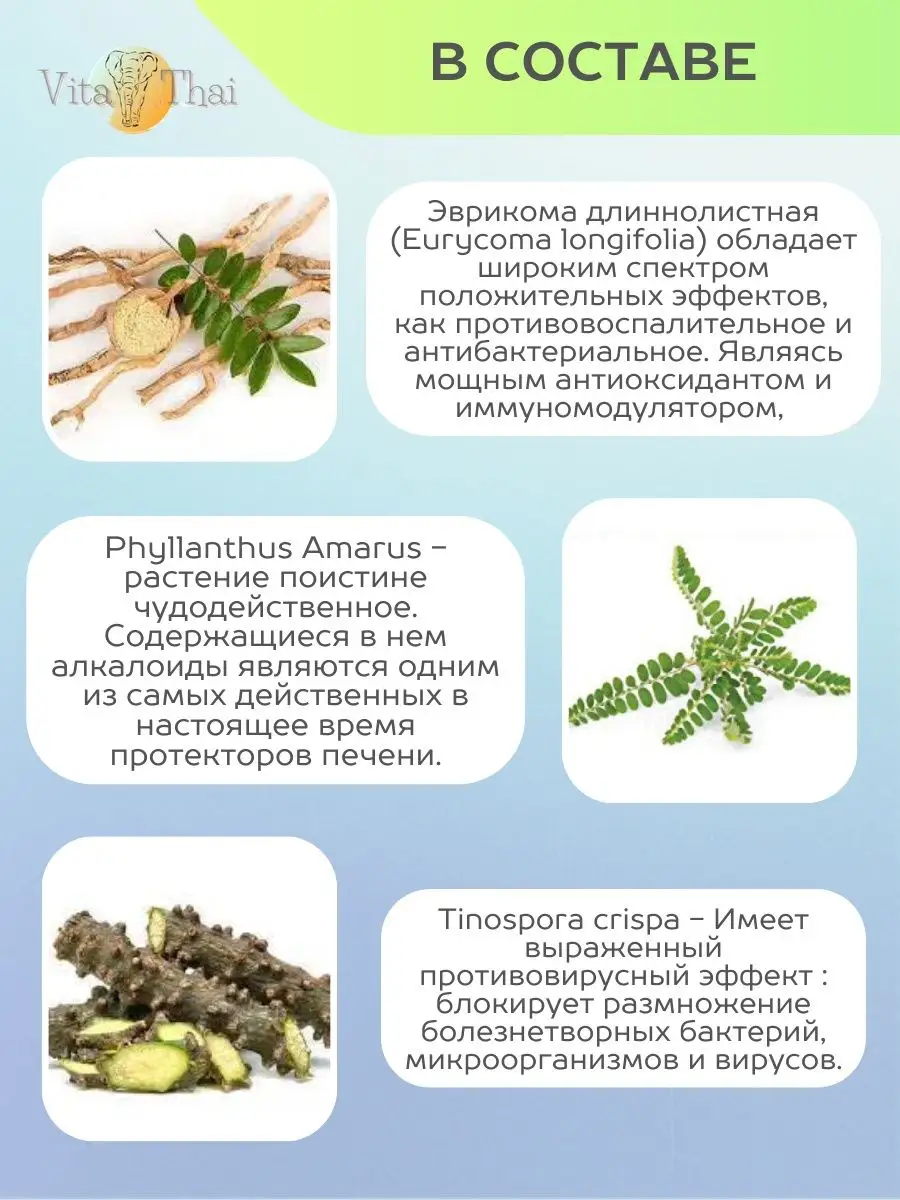 Капсулы Лук Тай Бай для печени THANYAPORN HERBS 146041623 купить за 740 ₽ в  интернет-магазине Wildberries