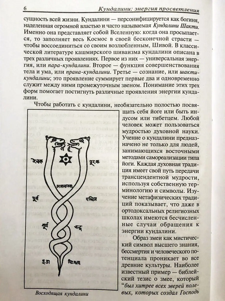 «Премия за красоту» напоминает о том, что мир устроен несправедливо