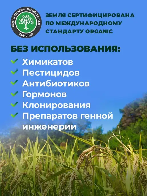 THE MAMA Органический рис белый без глютена, шлифованный, 500 г, 500 г, фото 4