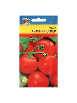 Семена Томат "Крайний север", 0,1 гр Урожай Удачи 146187965 купить за 86 ₽ в интернет-магазине Wildberries