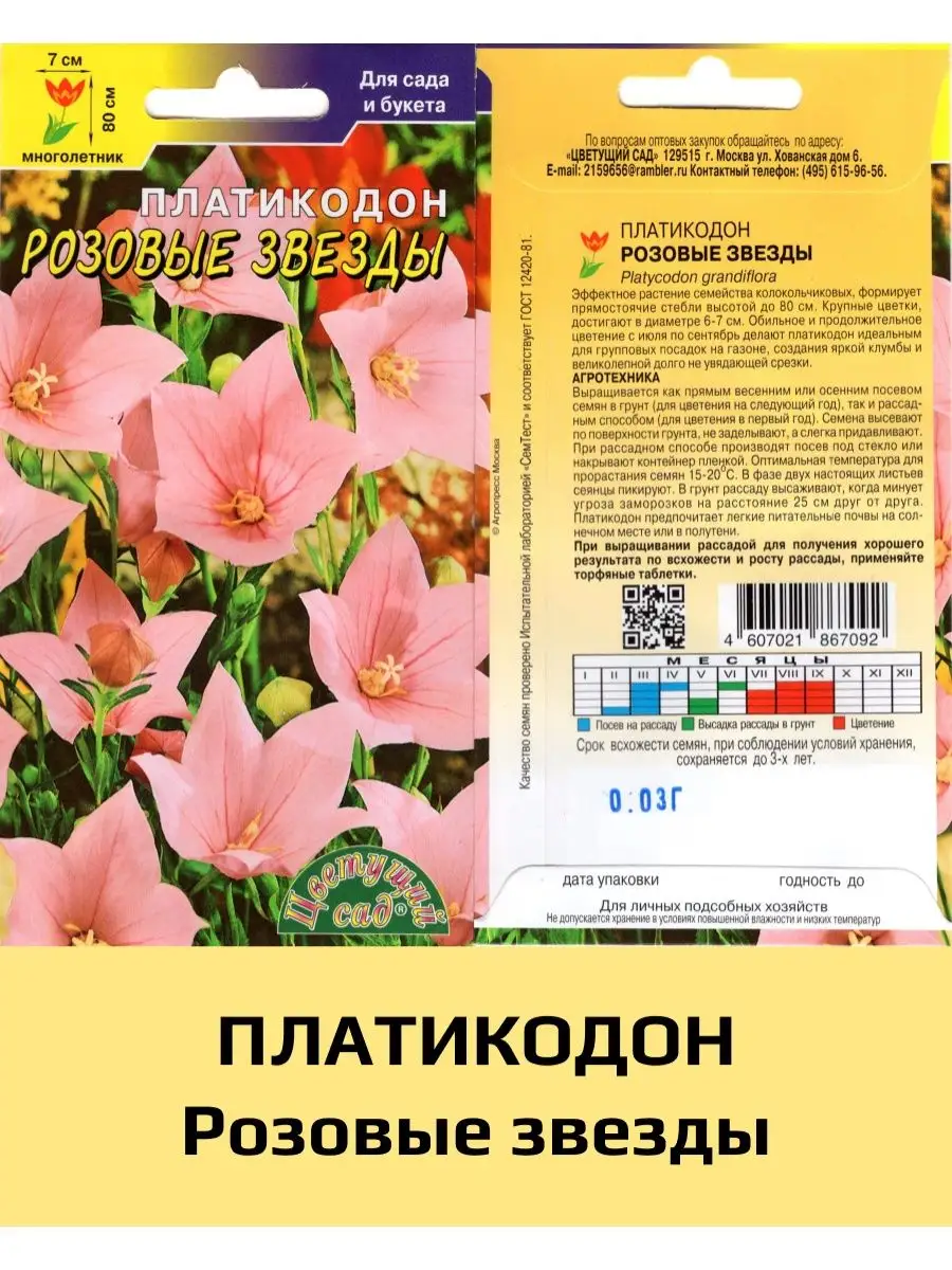 Жертвы хакеров: 7 самых скандальных историй со сливом интимных фото знаменитостей | theGirl