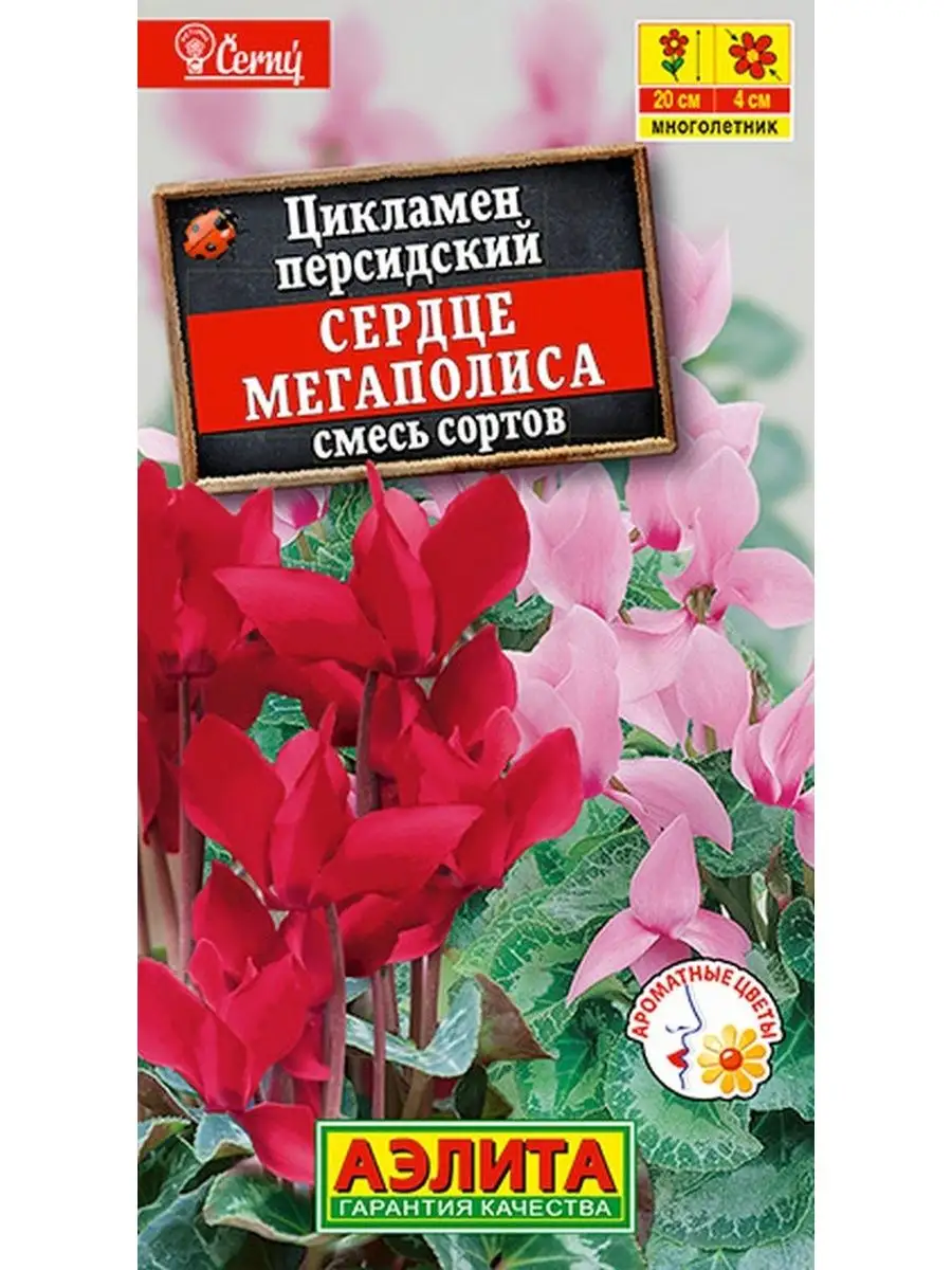 Семена Цикламен персидский Сердце мегаполиса, смесь, 3шт Агрофирма Аэлита  146225667 купить в интернет-магазине Wildberries