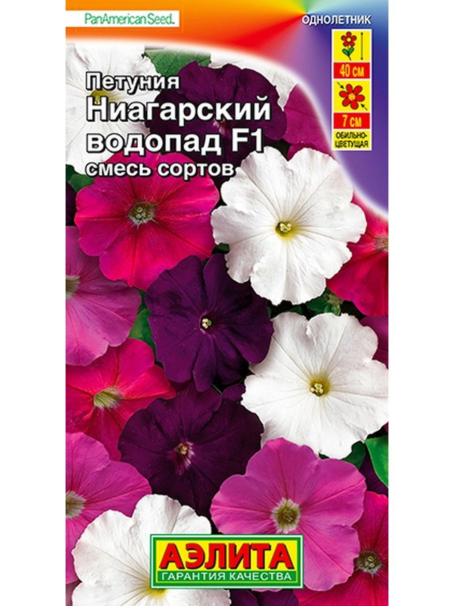 Петуния водопад f1. Петуния обильноцветущая, смесь сортов. Петунья американской селекции петхуа.