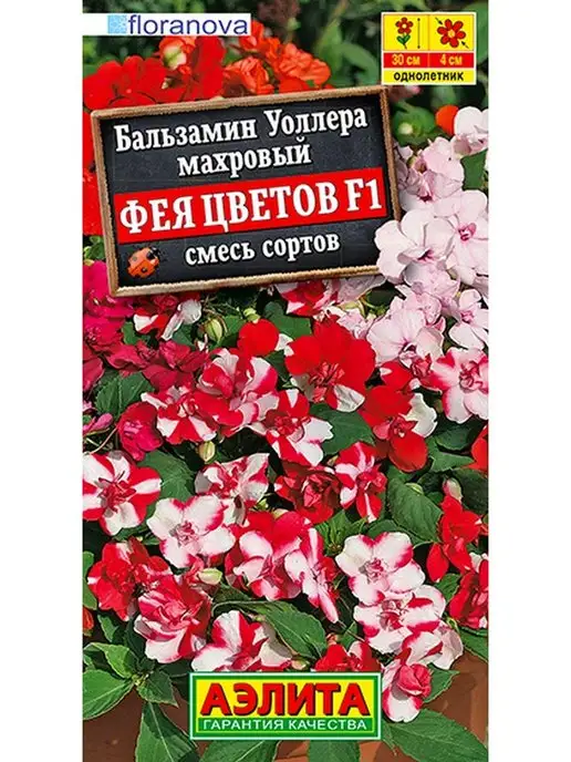 Бальзамин – выращивание и уход, как и когда садить семенами на рассаду