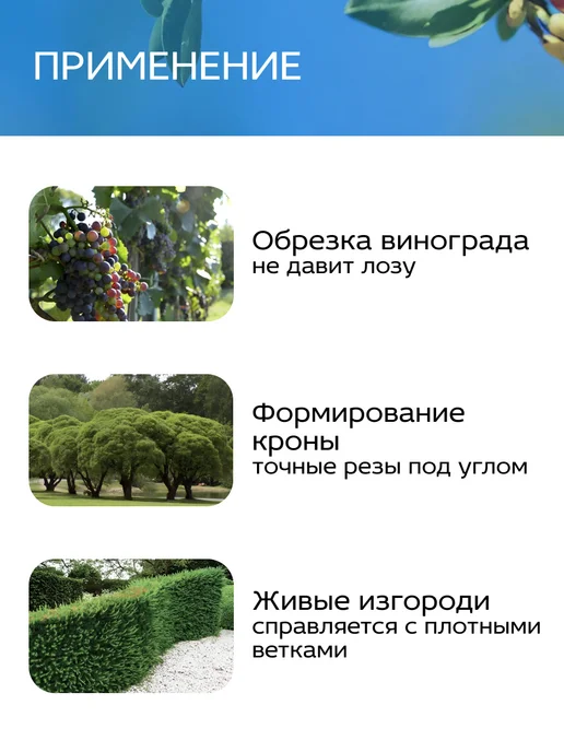 FRUT Секатор садовый ручной стальной для веток до 25 мм, синий, фото 4