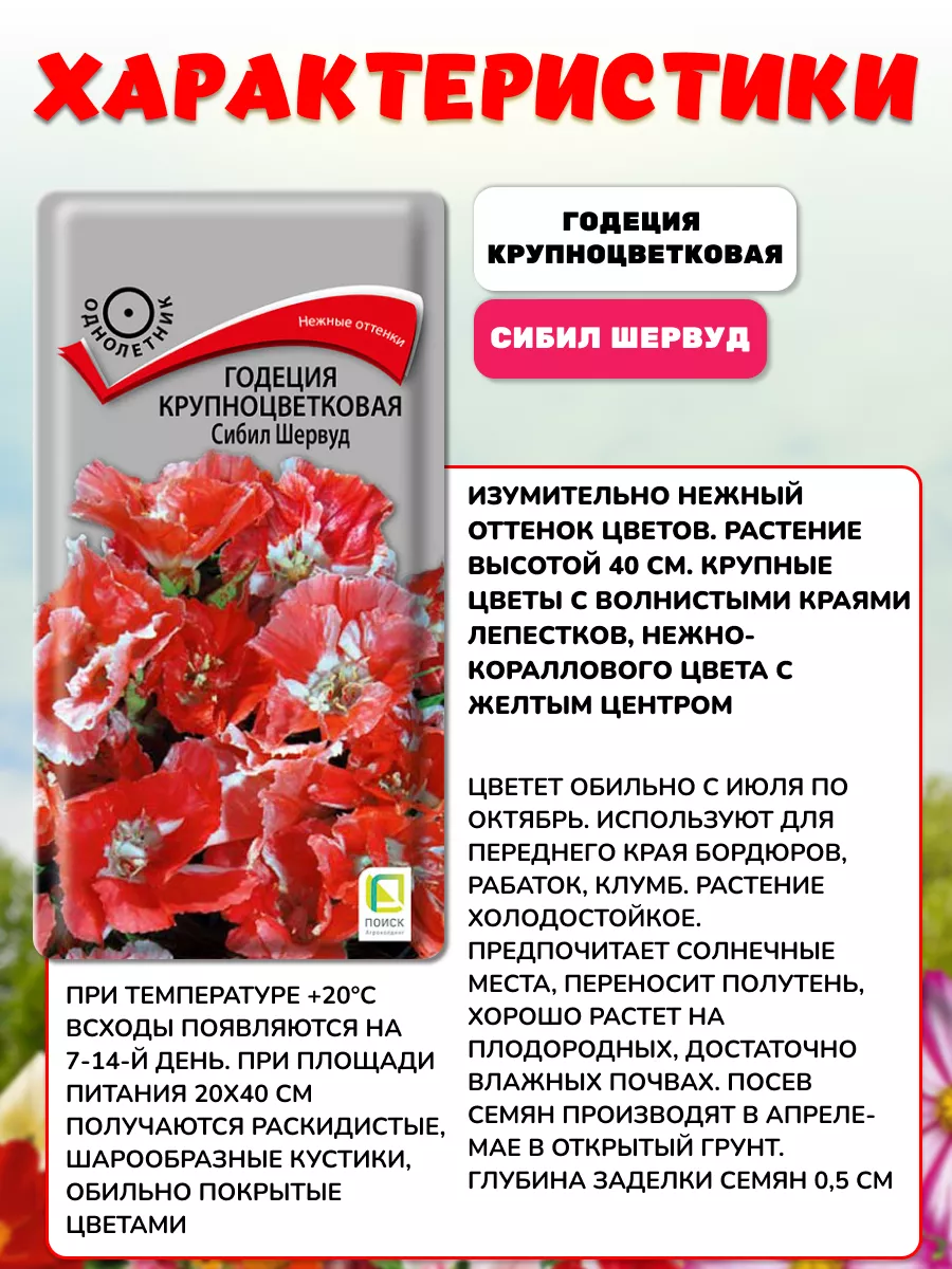 Семена цветов для сада однолетние Семена партнер природы 146284747 купить  за 273 ₽ в интернет-магазине Wildberries