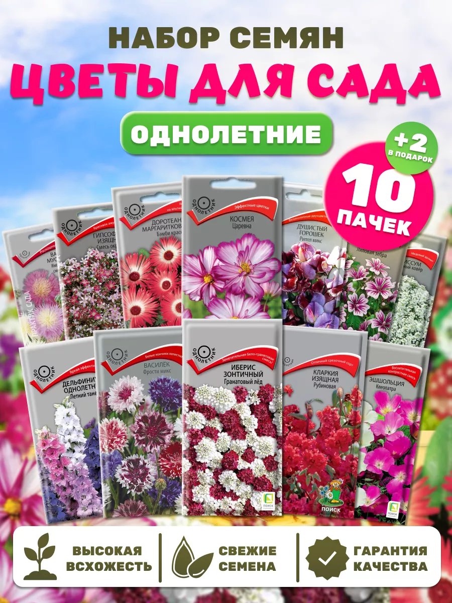 Семена Партнер Дельфиниума Купить