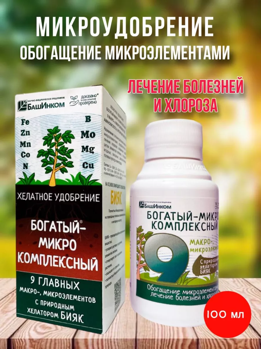 Башинком интернет. Башинком интернет
