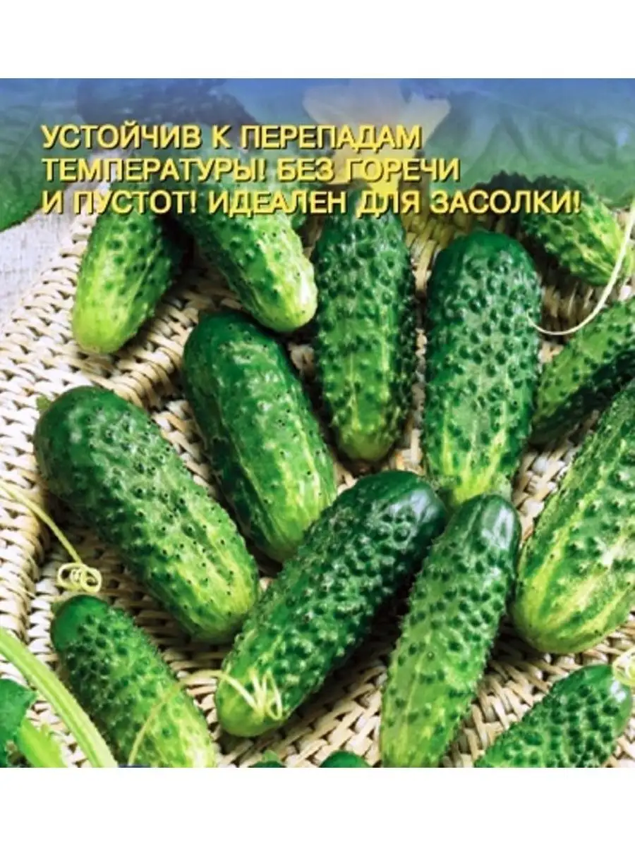 Купить Семена Огурцов В Туле