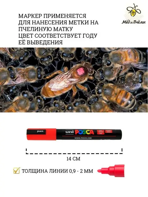 МЁД и ПЧЁЛЫ Маркер синий 1,8-2,5 мм для метки маток POSCA PC-5M, синий, фото 5