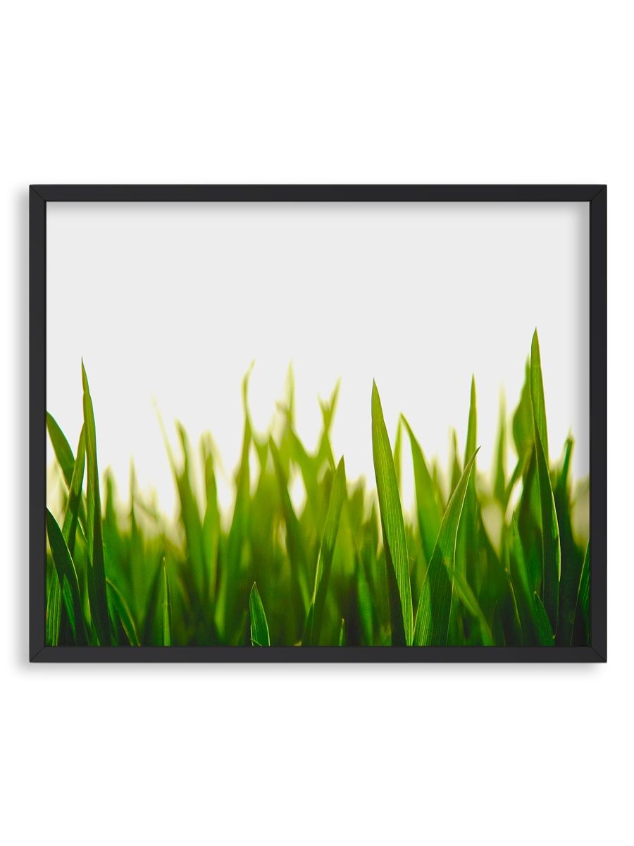Звон трава. Стеновая панель трава. Панели с травкой. Панель настенная с травой. Наклейка трава на стекло.