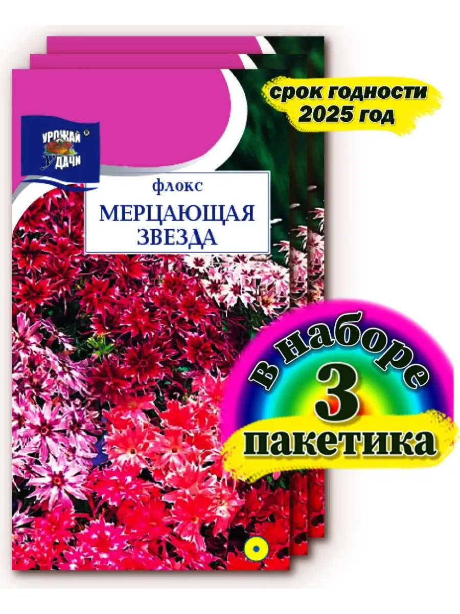 Флоксы Однолетние Купить Семена
