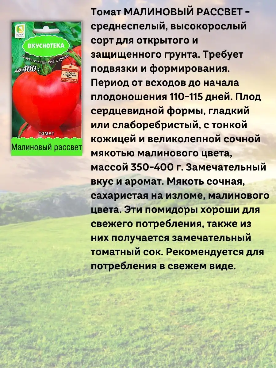 Семена томатов Агрохолдинг Поиск 146390157 купить за 168 ₽ в  интернет-магазине Wildberries