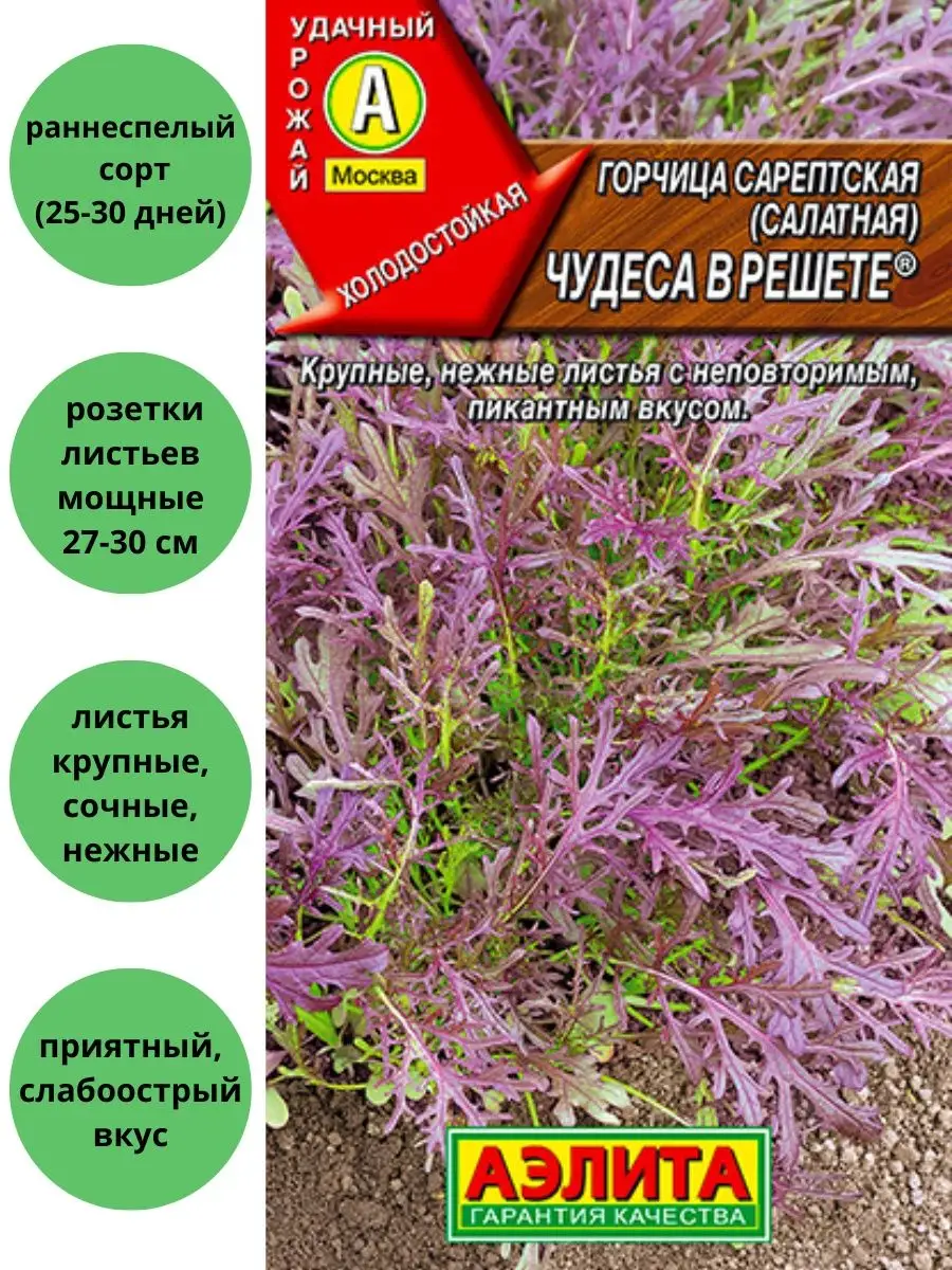 Горчица Чудеса в решете сарептская салатная Агрофирма Аэлита 146464461  купить в интернет-магазине Wildberries