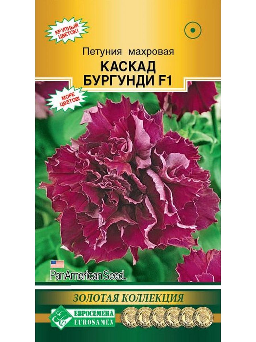 Петуния Каскад бургунди. Петуния каскадная махровая. Петуния махровая бургунди. Петуния каскадная бургунди.