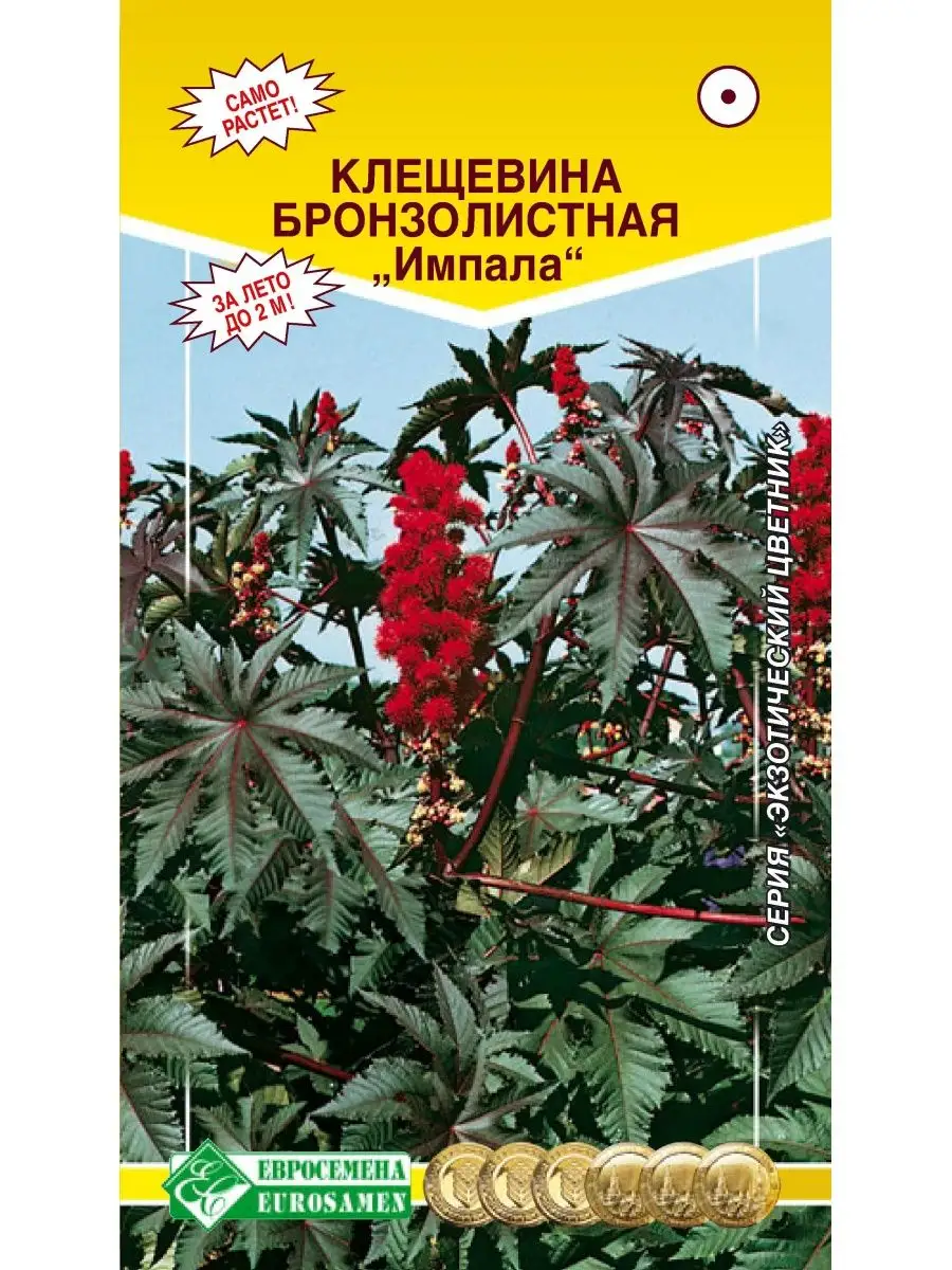Семена Клещевина бронзолистная ИМПАЛА, 2г