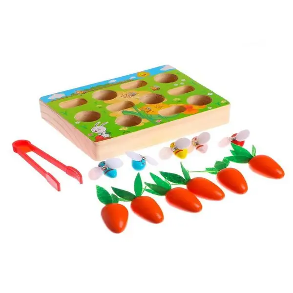 Детская развивающая деревянная игрушка/Сортер из дерева