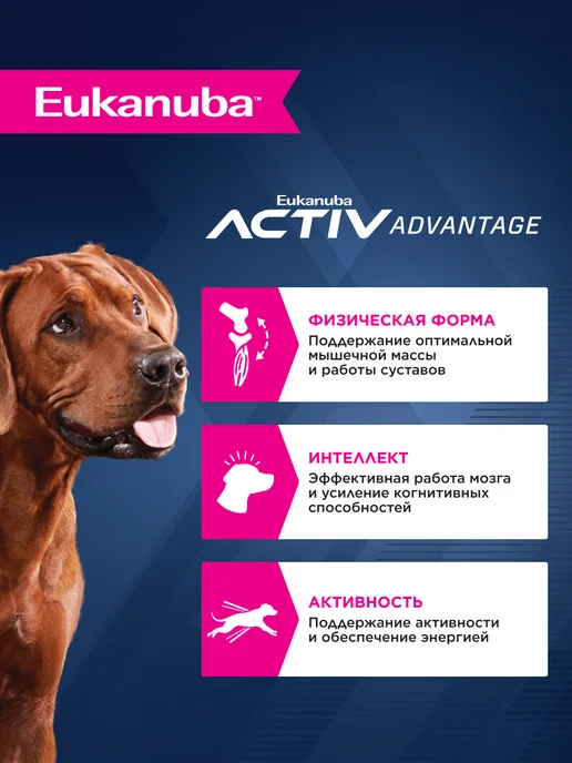 Сухой корм Eukanuba для собак, крупные, пожилые, курица, 15 кг, фото 2