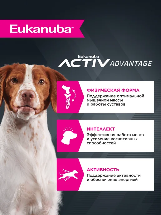 Сухой корм Eukanuba для собак, взрослые, средние, курица, 15 кг, фото 2