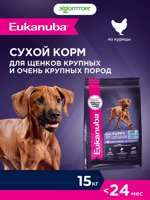 Сухой корм Eukanuba для собак, крупные, щенки, курица, 15 кг