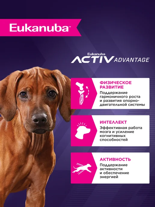 Сухой корм Eukanuba для собак, крупные, щенки, курица, 15 кг, фото 2