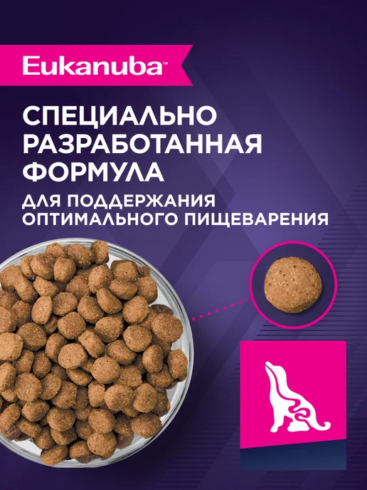 Сухой корм Eukanuba для собак, крупные, щенки, курица, 15 кг, фото 4