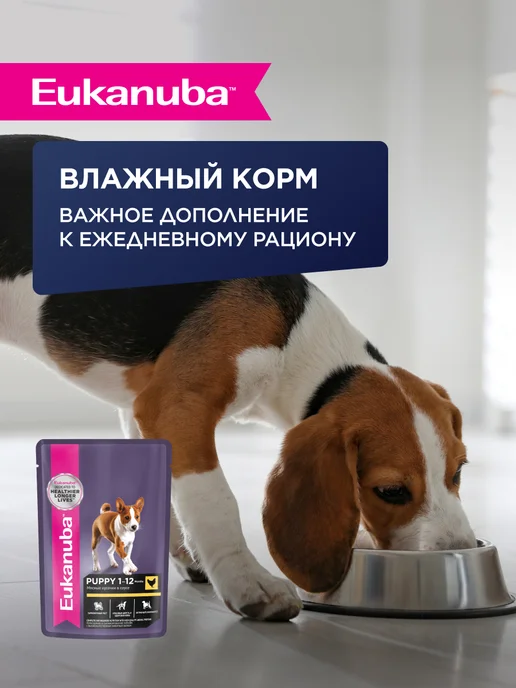 Сухой корм Eukanuba для собак, крупные, щенки, курица, 15 кг, фото 7