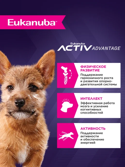 Сухой корм Eukanuba для собак, мелкие, щенки, курица, 3 кг, фото 2