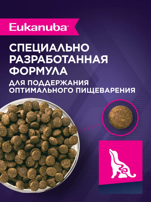 Сухой корм Eukanuba для собак, мелкие, щенки, курица, 3 кг, фото 3