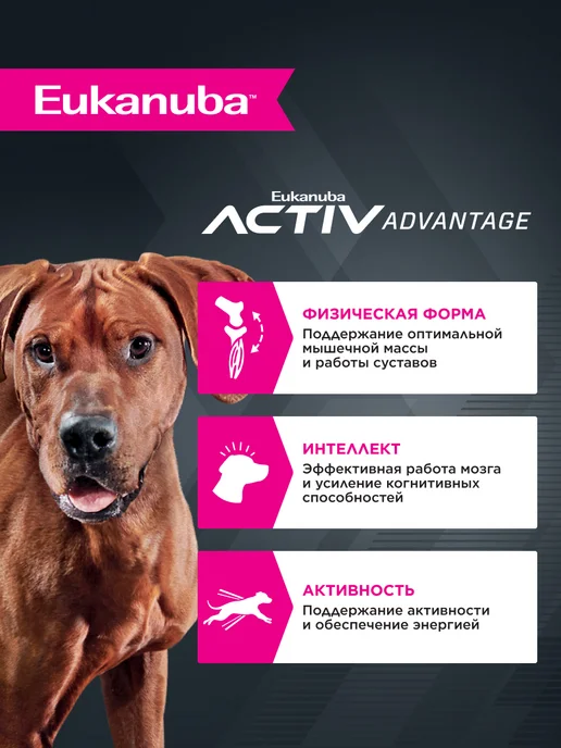 Сухой корм Eukanuba для собак, взрослые, крупные, курица, 3 кг, фото 2
