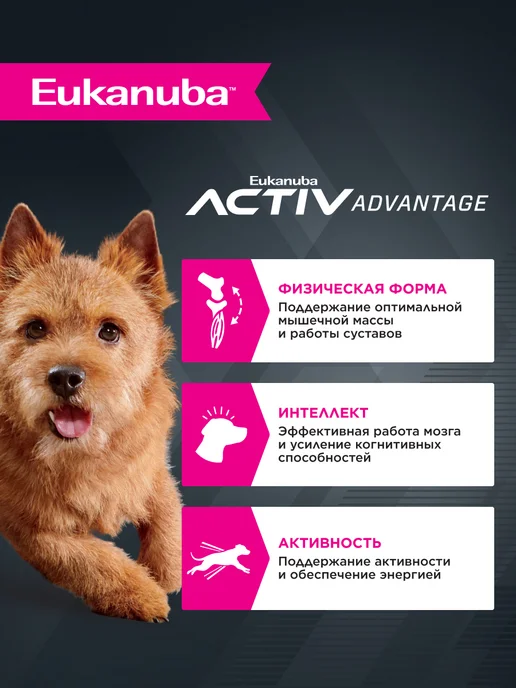 Сухой корм Eukanuba для собак, взрослые, мелкие, курица, 3 кг, фото 2