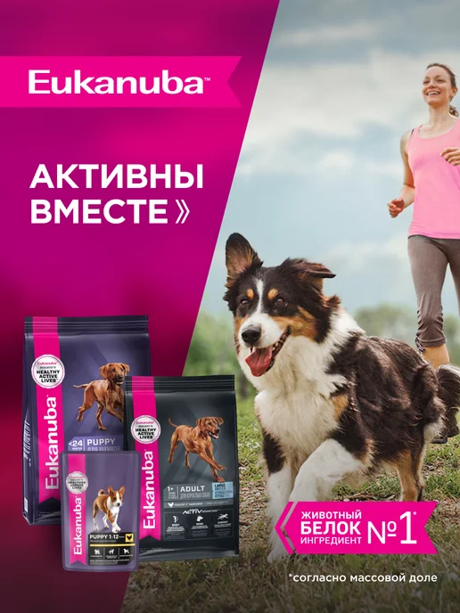 Сухой корм Eukanuba для собак, крупные, щенки, курица, 3 кг, фото 8