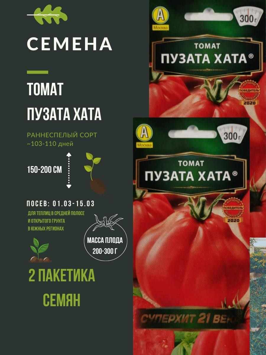 Пузата хата помидоры описание сорта отзывы садоводов. Пузата хата томат отзывы фото.