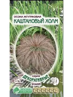 Осока жгутиковая «Каштановый Холм» Стильные цветы 146566372 купить за 149 ₽ в интернет-магазине Wildberries