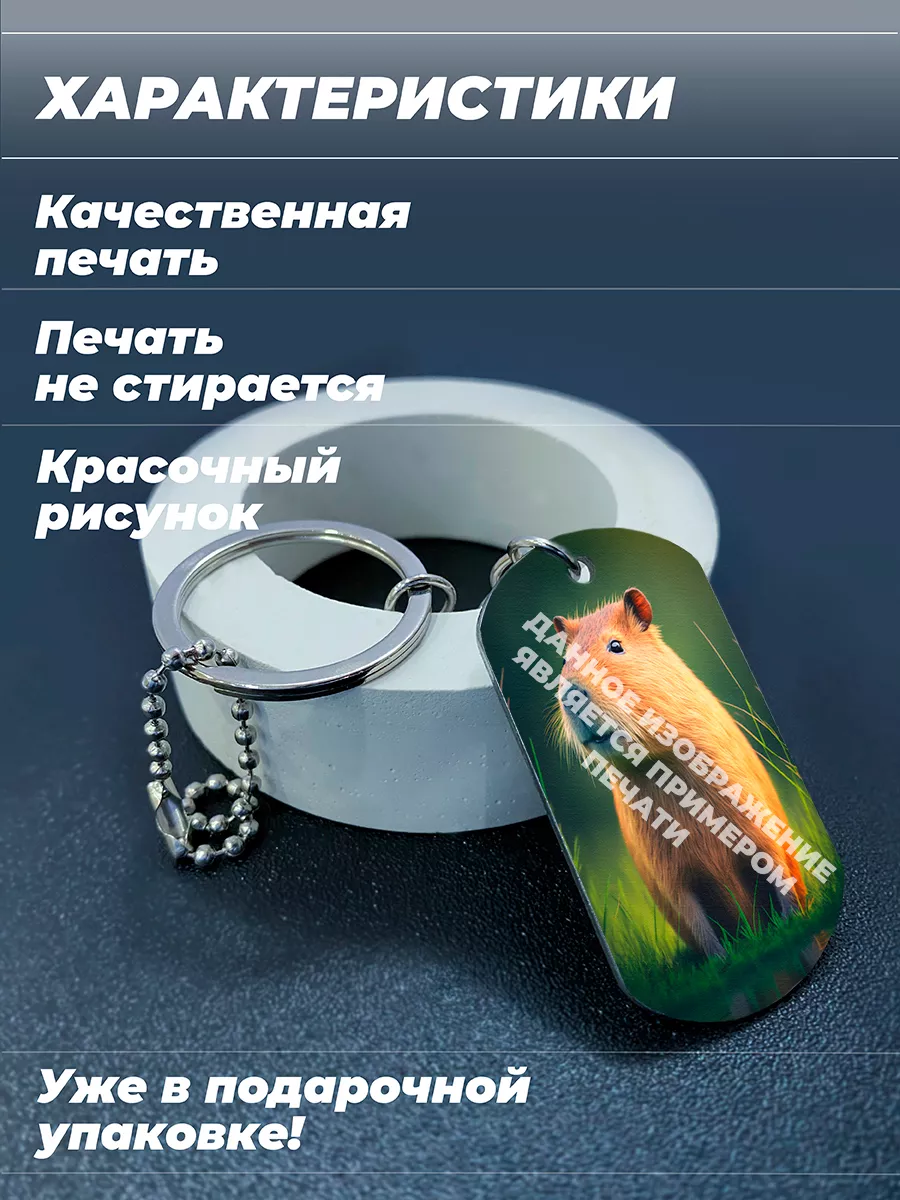 Цитаты из шоу 