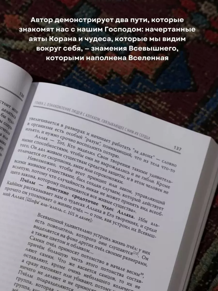 Вера в Аллаха - Исламская книга Акыда БисмиЛлях ЧИТАЙ 146596734 купить за  904 ₽ в интернет-магазине Wildberries