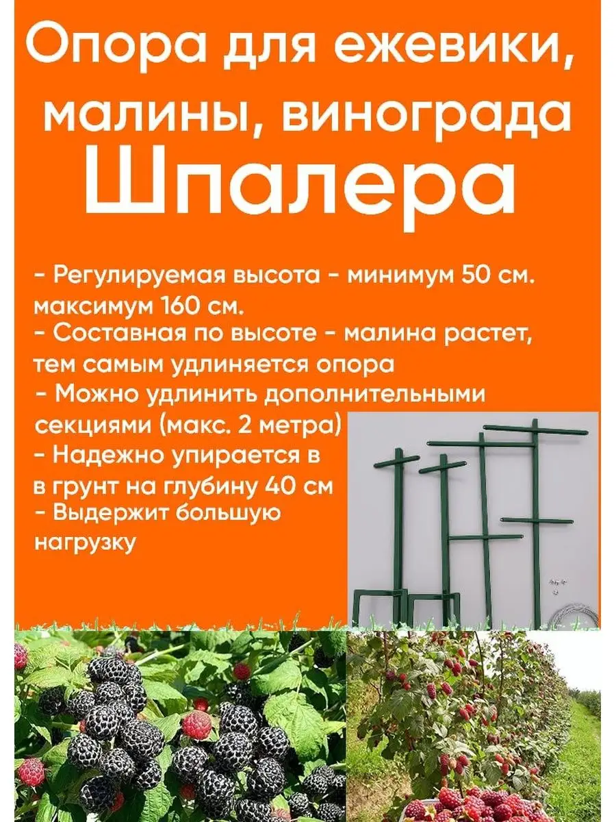 Опора для малины, винограда, шпалера сталь 146609383 купить в  интернет-магазине Wildberries