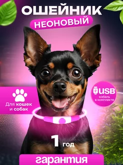 Ошейник светодиодный силиконовый для животных Poper Pet 146642785 купить за 528 ₽ в интернет-магазине Wildberries