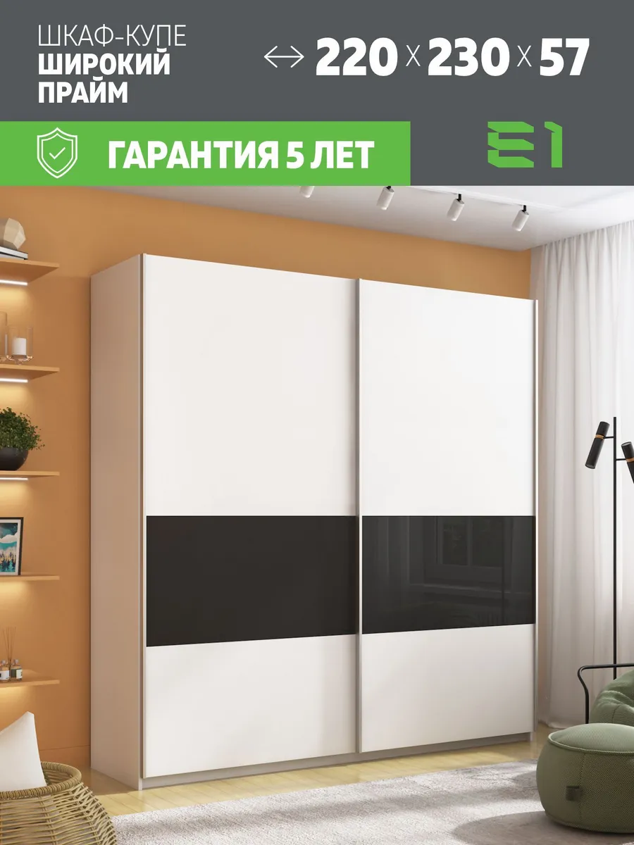 Шкаф-купе Прайм 2дв ДСП/Ст черное/Доводчики 220х57х230