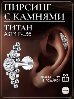 Титановый пирсинг лабрет кластер в хеликс трагус хрящ Niche Brand Jewellery 146773383 купить за 366 ₽ в интернет-магазине Wildberries