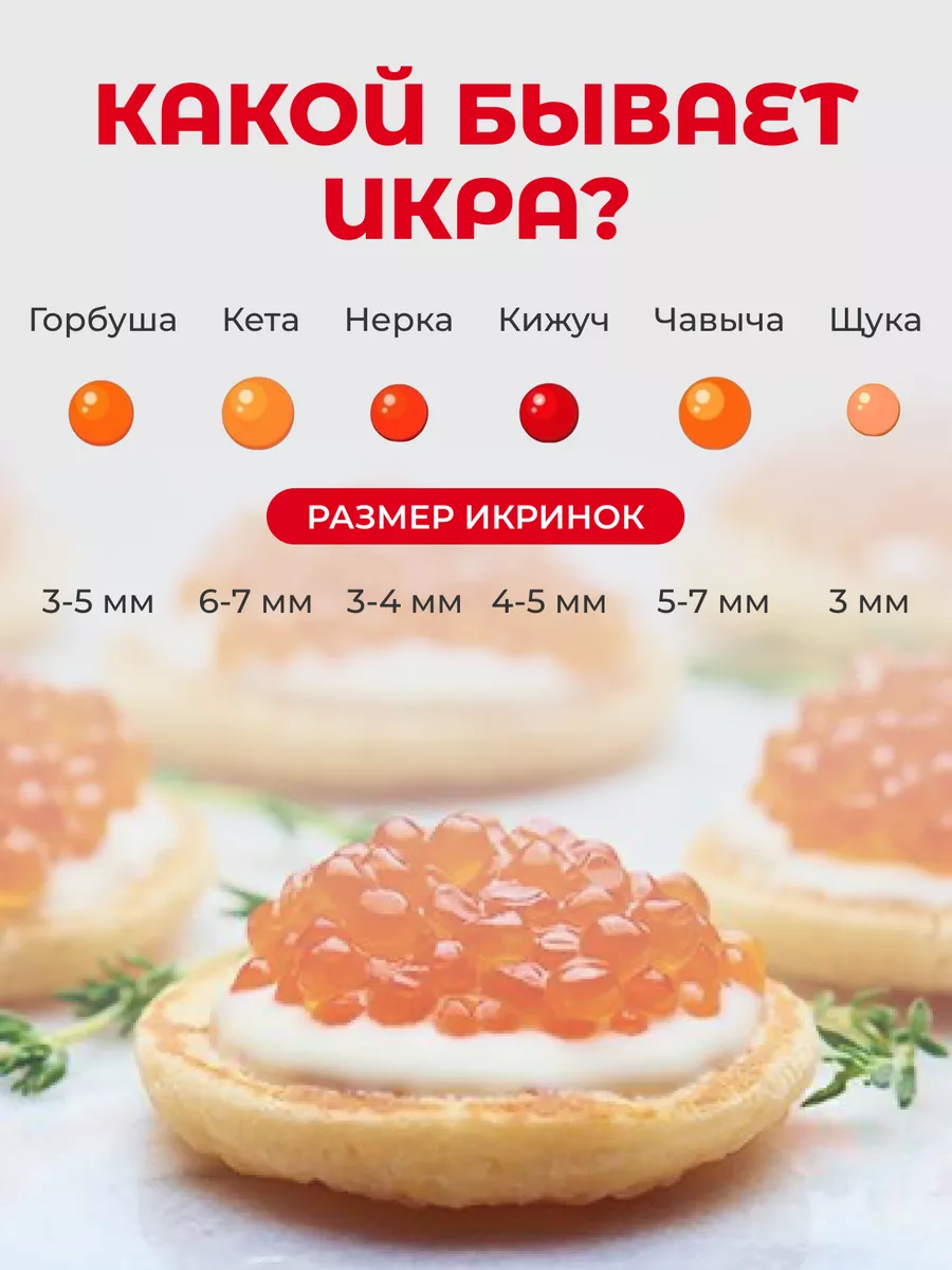 Грохотка с ручками для приготовления рыбьей икры 146851062 купить за 1 068  ₽ в интернет-магазине Wildberries