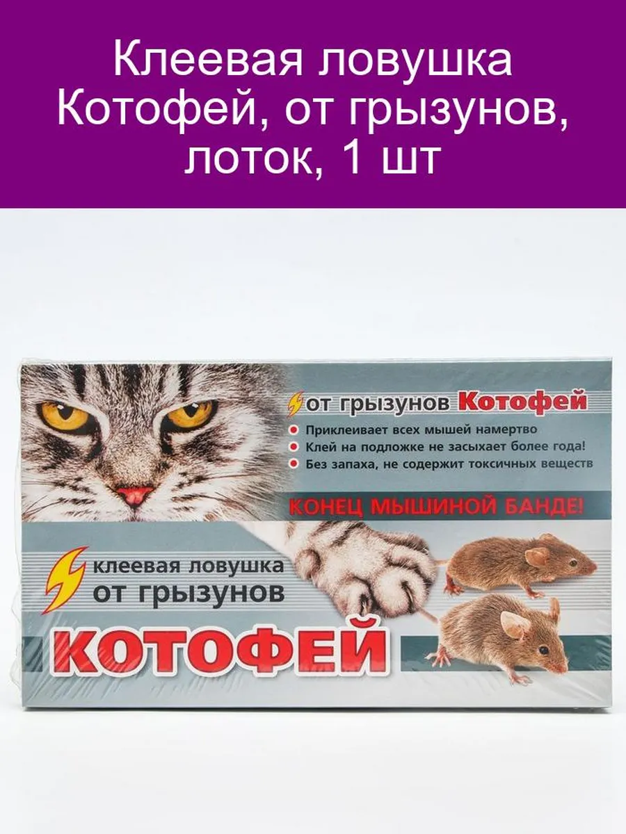 Клеевая ловушка Котофей, от ползающих насекомых, лоток, 1 шт Ваше Хозяйство  146877816 купить за 291 ₽ в интернет-магазине Wildberries