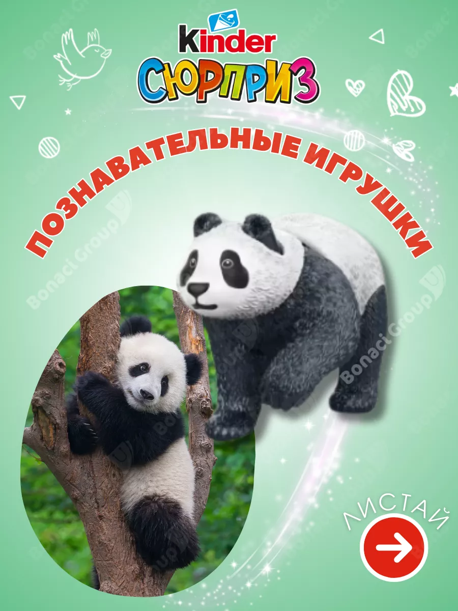 Шоколадные яйца Киндер Сюрприз 12 шт KINDER 146889991 купить за 1 501 ₽ в  интернет-магазине Wildberries