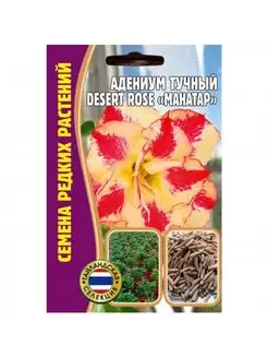 Адениум тучный Mahatap Desert Rose, 3 шт. Редкие семена 146890778 купить за 314 ₽ в интернет-магазине Wildberries