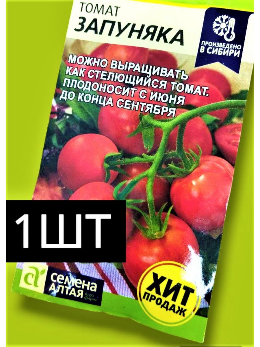 Помидоры запуняка характеристики. Запуняка. Запуняка томат описание отзывы. Запуняка томат отзывы огородников. Рассада Запуняка.