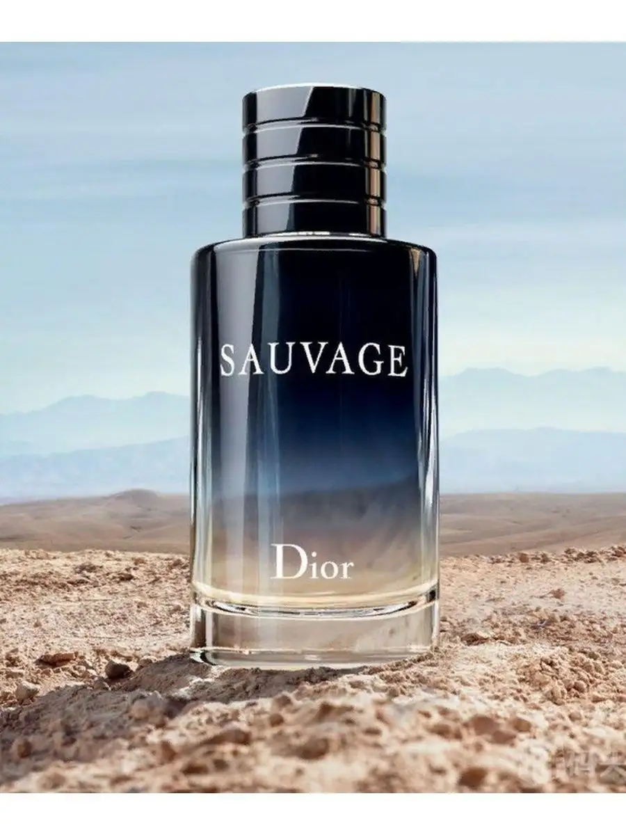 C 2024 dior perfume