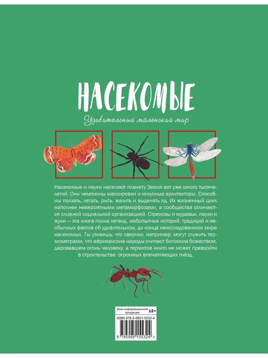 Проблема — белые насекомые в ванной. Кто это может быть и как с ними бороться?