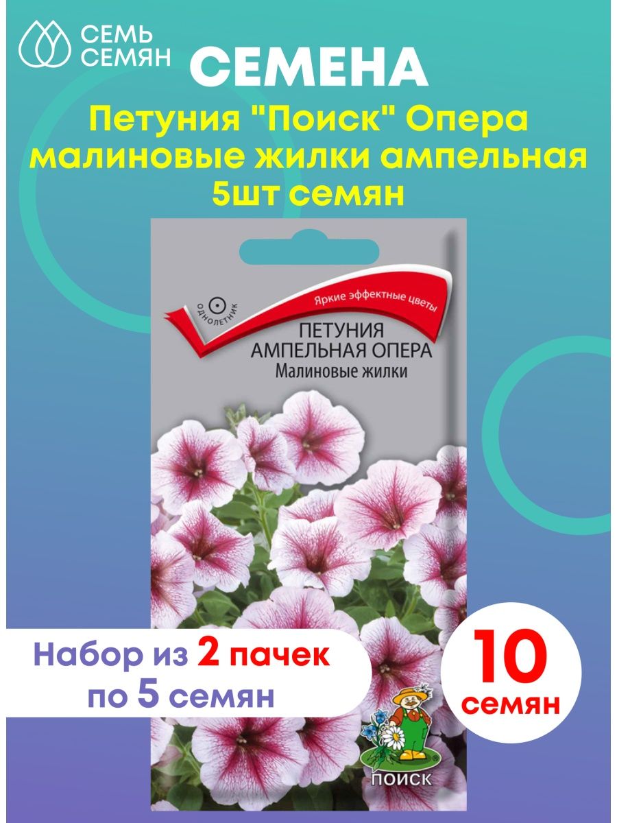 Опера малиновые жилки. Виола ампельная "Гавриш" водопад лиловый. Петуния белладонна.